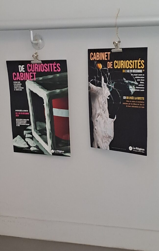 image de Cabinet de curiosités